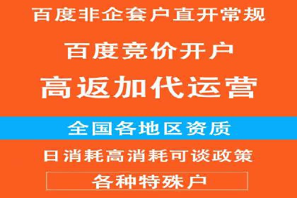SEM主管实战技巧：案例分享与解读